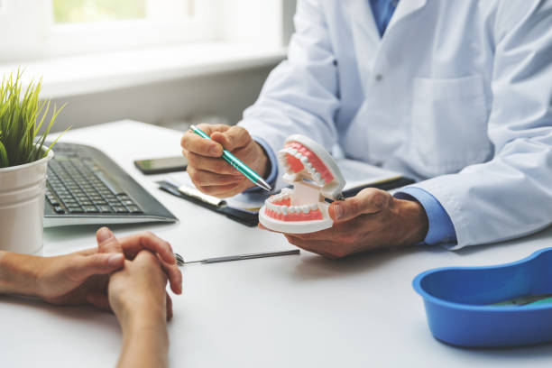 Professional Holistic Dental Care Services in Red Bay, AL